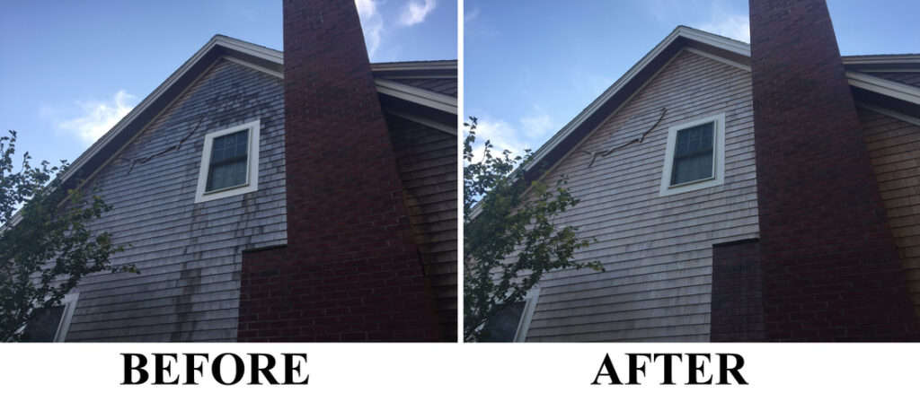 cedarshingles-outprint_orig