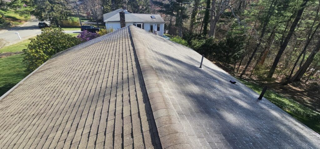 Residential Roof Cleaning Roof Cleaning